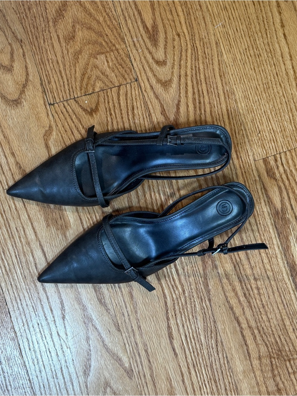 Pointed Slingback Shoes
